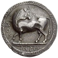 Nomos