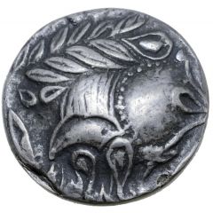 Tetradrachm Schnabelkopf Type