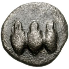 Tritetartemorion