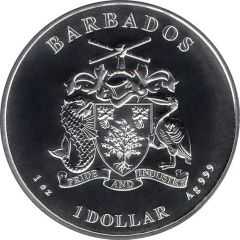 1 Dollar Caribbean Octopus