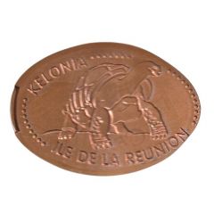 Kélonia tortue terrestre