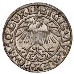1/2 Groat półgrosz) - Sigismund II Augustus (2d eagle
