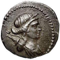 Tetradrachm - Apollonios