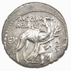 Denarius Aemilia:Marcus Æmilius Scaurus and Publius Plautius Hypsaeus
