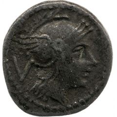 Quinarius Anonymous, ROMA