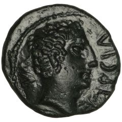 Bronze Double Unit - Tasciovanos Tasciovanos Mega Pegasus