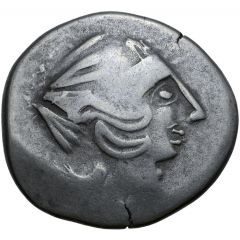 Tetradrachm Sattelkopfpferd Type
