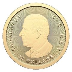 10 Dollars ‐ Charles III Bald eagle with Fish (Investissement)