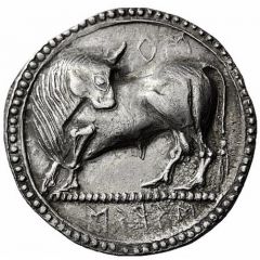 Stater