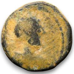 Æ - Pseudo-Autonomous