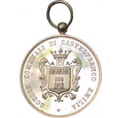 Educational medal of merit communal school of Castelfranco in Emilia