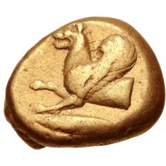 Stater