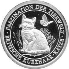 Token - Fascinating Wildlife British Shorthair Cat