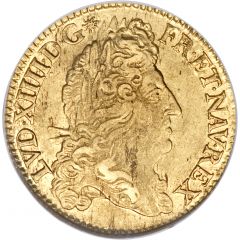 Double Gold Louis with shield - Louis XIV