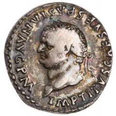 Denarius - Titus TR P IX IMP XV COS VIII P P