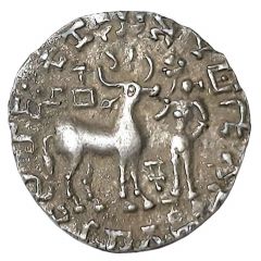 1 Drachm - Amoghabhuti