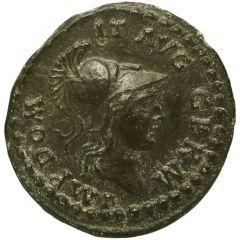 Quadrans S C, Minerva