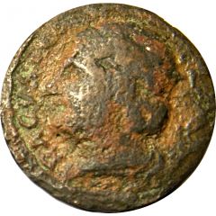 1 Follaro Type 3