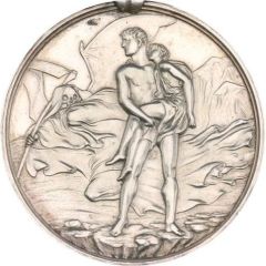 Award Quiver Medal, silver