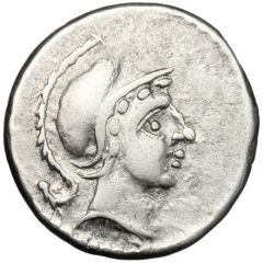 Denarius - Albinus Bruti Imitation of Denarius of Roman Republic