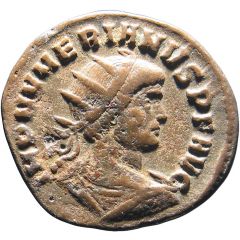Antoninianus - Numerian PRINCIPI IVVENTVT