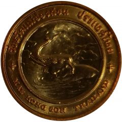 Medal - Mae Hong Son Province