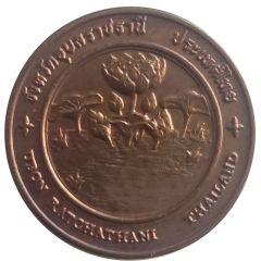 Medal - Ubon Ratchathani