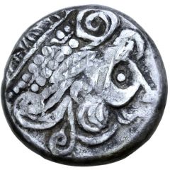 Tetradrachm Eberkopf Type