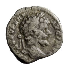 Denarius - Septimius Severus SALVTI AVGG, Salus