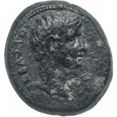 Æ20 - Augustus ΣΑΡΔΙΑΝΩΝ ΔΑΜΑΣ