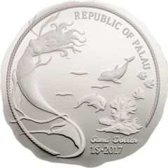 1 Dollar Sand Dollar