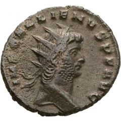Antoninianus - Gallienus P M TR P VII COS