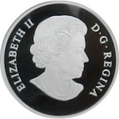 20 Dollars - Elizabeth II Baby Black Bear