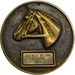 médaille cce ville de Lyon