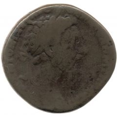 Sestertius - Marcus Aurelius and Commodus IMP VIII COS III P P LIBERALITAS AVG VII S C