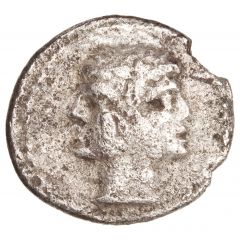 Litra Anonymous, ROMA
