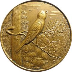 Exposition d`oiseau - Belgrade