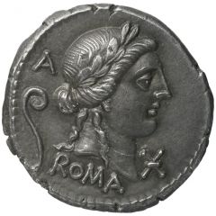 Denarius Sulla, ROMA / C SERVEIL