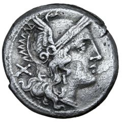 Denarius Dolabella, ROMA