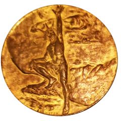 Dollar - Pan-American Exposition Official Medal