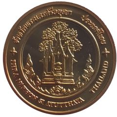 Medal - Ayutthaya Province