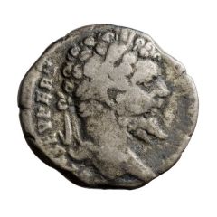Denarius - Septimius Severus P M TR P V COS II P P, Genius