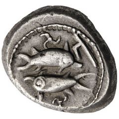 Stater - Kuprilli