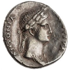 Denarius - Antonia Minor CONSTANTIAE AVGVSTI