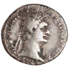 Denarius - Domitian IMP XXI COS XVI CENS P P P, Minerva
