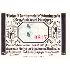 50 Pfennig