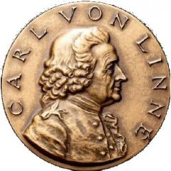Carl von Linné - 250 years