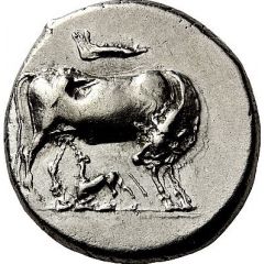 Stater - Monunios