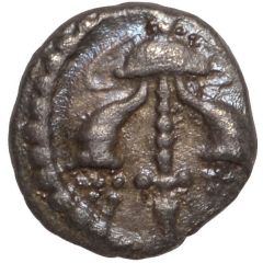 Silver Minim - Verica Verica Cornucopiae Eagle