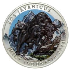 Bullion - Banteng Jawa Coloured